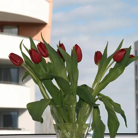 Apartament 4 Zagiel Apartment *